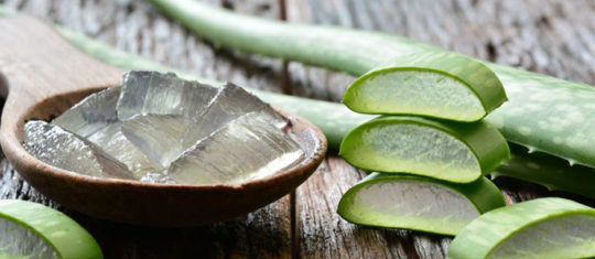 Quels sont les bienfaits du gel d'Aloe Vera