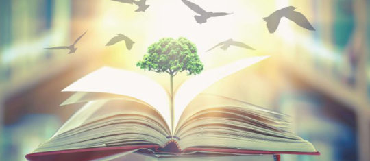 Importance des études en environnement