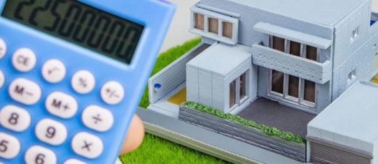 immobilier viager