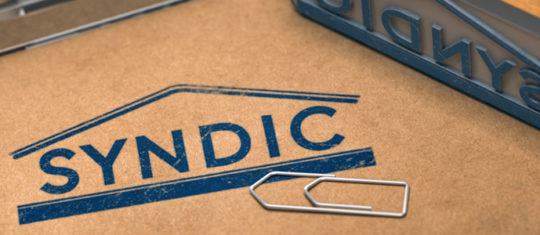 syndic