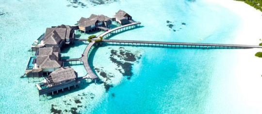 Relations sexuelles, rencontre aux Maldives