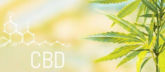 Chanvre-et-CBD
