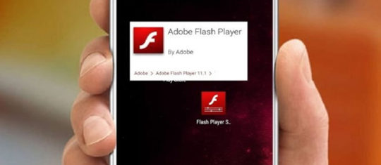 Application flash player