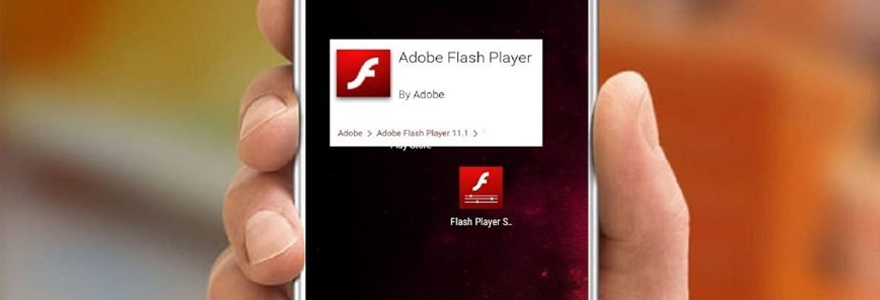 Application flash player