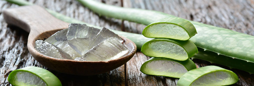 Quels sont les bienfaits du gel d'Aloe Vera