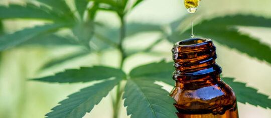 CBD